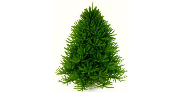 Artificial Christmas Trees Made In USA