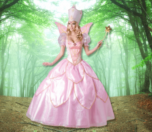 Princess Fairy Godmother Costume
