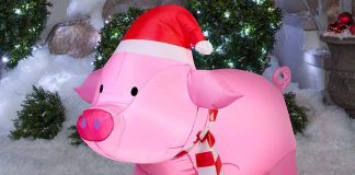 Inflatable Christmas Pig